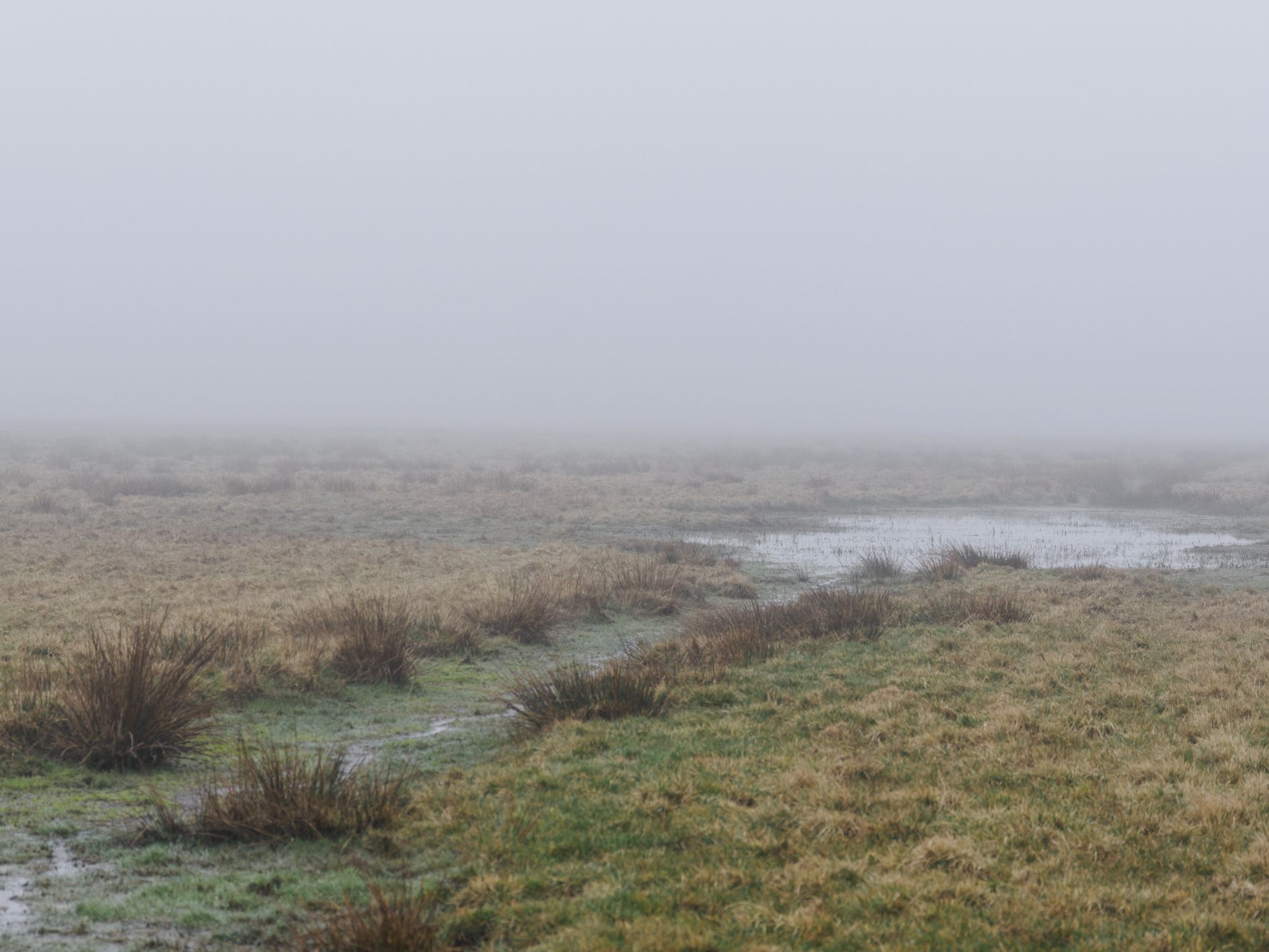 260321 1125 H  2HR0072 DxO DeepPRIME 3